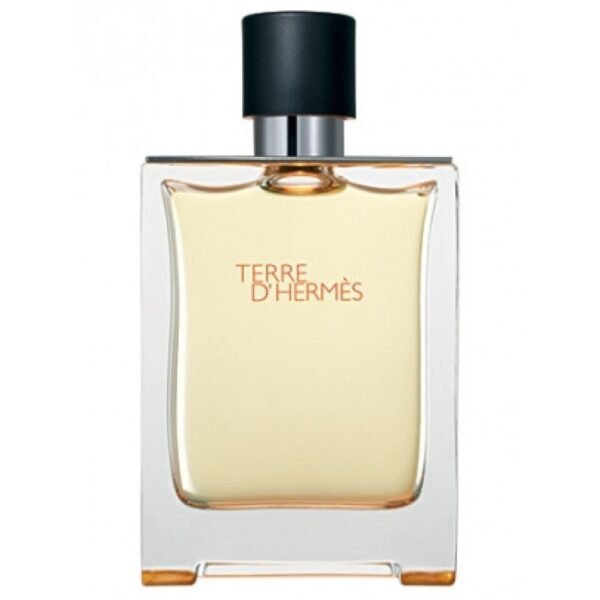 Hermes Terre D`hermes Edp 100ml - мъжки тестер - Image 1