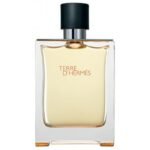 Hermes Terre D`hermes EDP 100 мл – мъжки